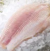 Frozen Whole Round Catfish & Catfish Fillets best cheap price this 2019