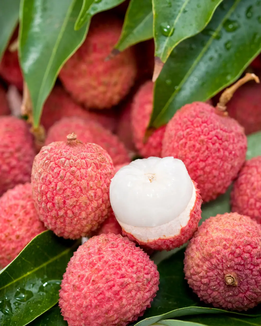 Frozen Whole Lychees Iqf,The Crisp Juicy Flesh Of A Lychee Fruits,Low