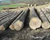 /product-detail/birch-wood-logs-spruce-wood-logs-for-sale-62015232819.html