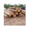 /product-detail/vietnam-teak-wood-log-high-quality-and-best-price-in-2019-2020-143867034.html