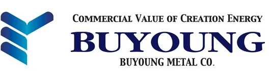 Buyoung_Logo(530).jpg