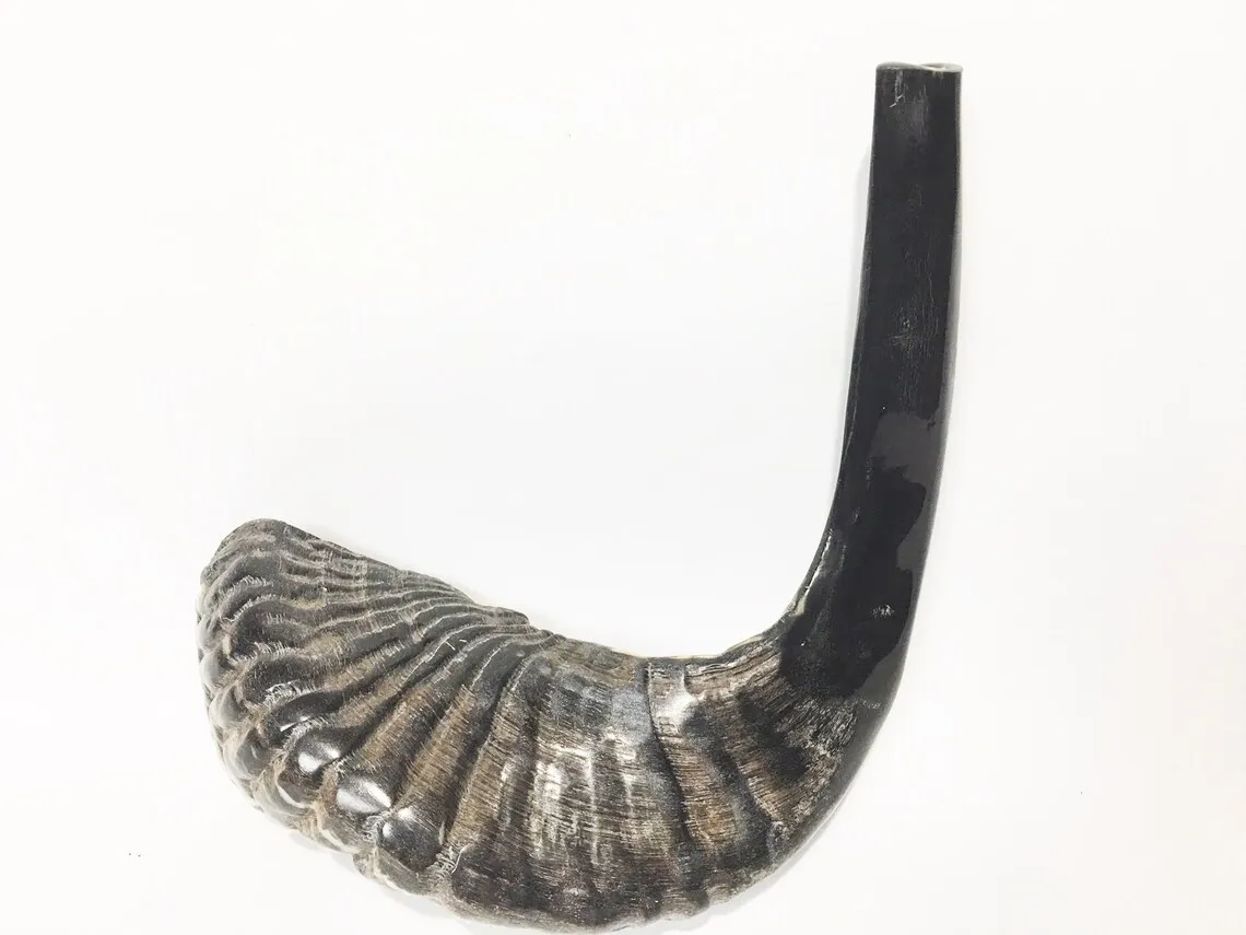 Natural Ram Horn Shofar For Blowing And Religious Purpose Kosher Shofar