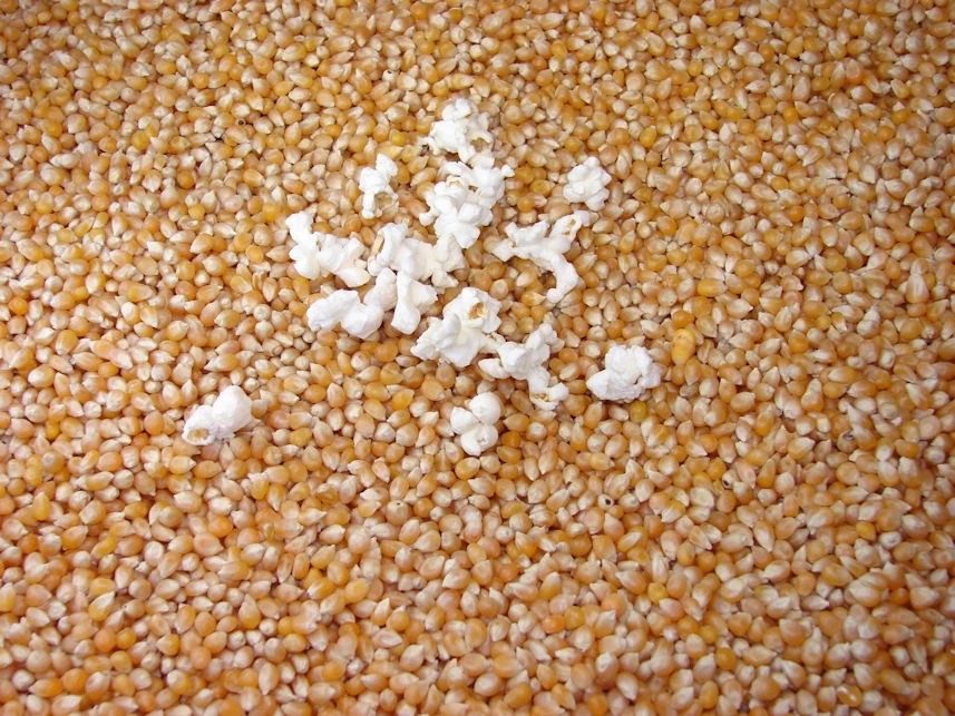 Popcorn-sp dda.jpg