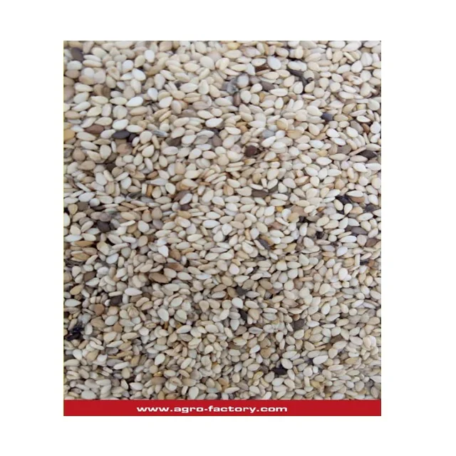 Kano Sesame seeed Nigeria .jpg