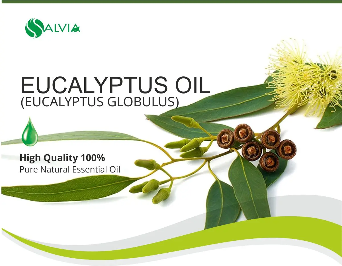 Eucalyptus Oil 1000ml Essential Oil 100 Pure & Natural Express