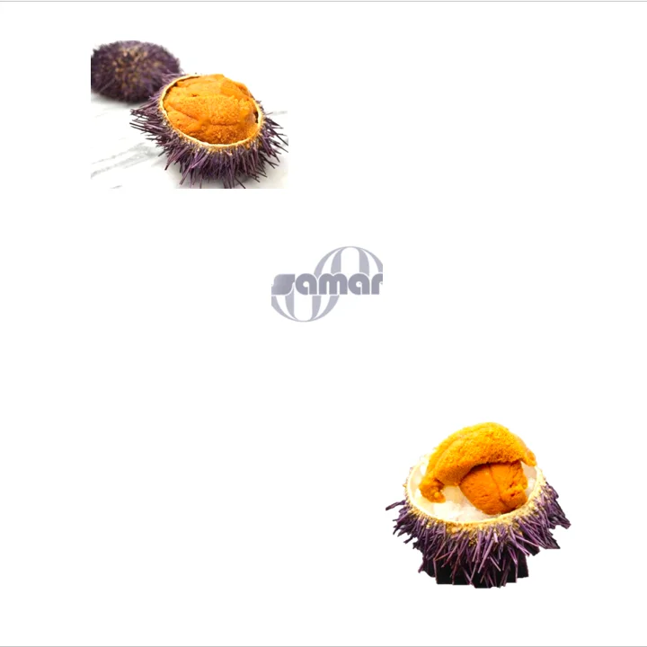 
Frozen Sea Urchin Roe, Fresh From the Canadian Red Sea 