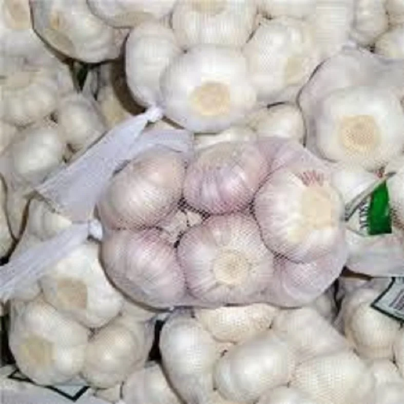 Fresh Garlic Bulk For Export Buy Bulk Garlic For Sale,Fresh Garlic