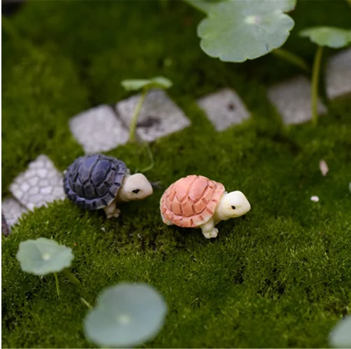 Grosshandel Mini Schildkroten Kaufen Sie Die Besten Mini Schildkroten Stucke Aus China Mini Schildkroten Grossisten Online Alibaba Com