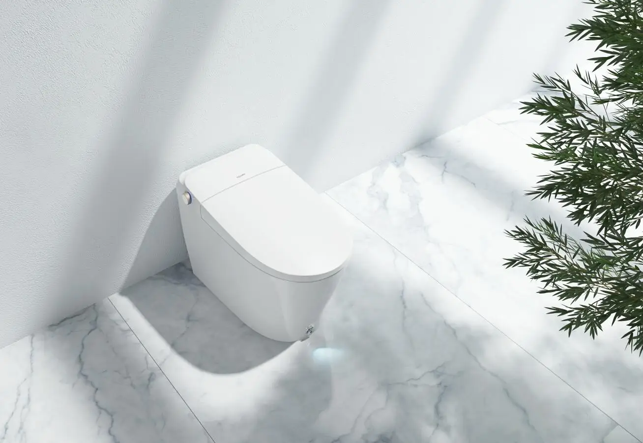 DV70-chinese toilet.JPG