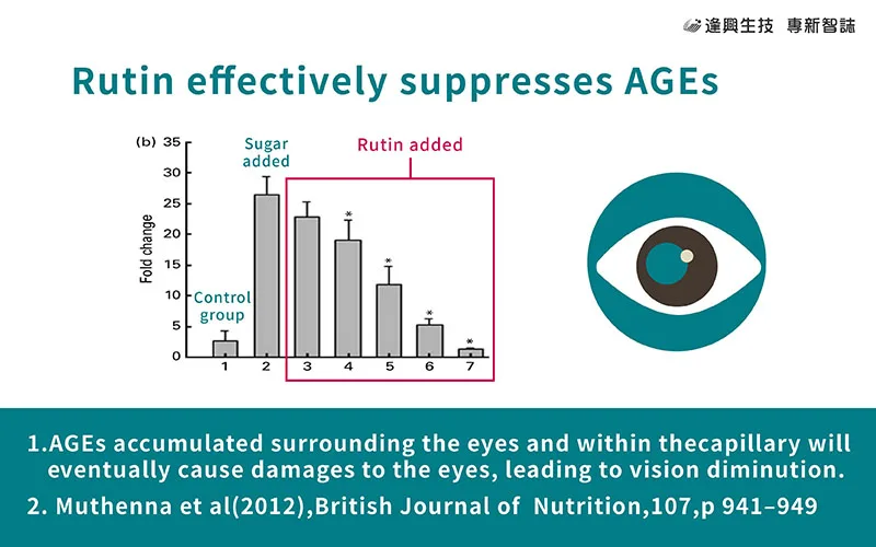 vol.015 _0924__8-.jpg