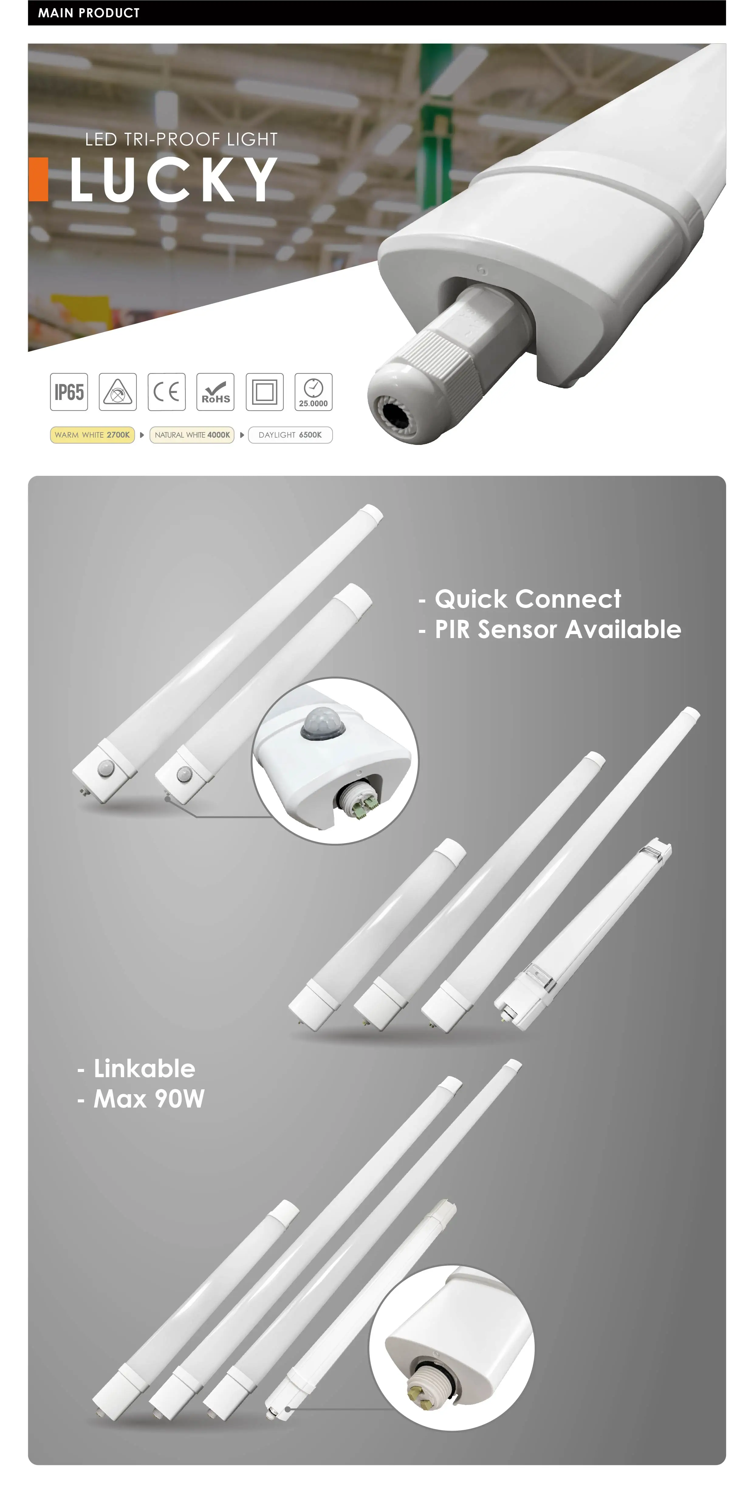 LED Tri-Proof Light