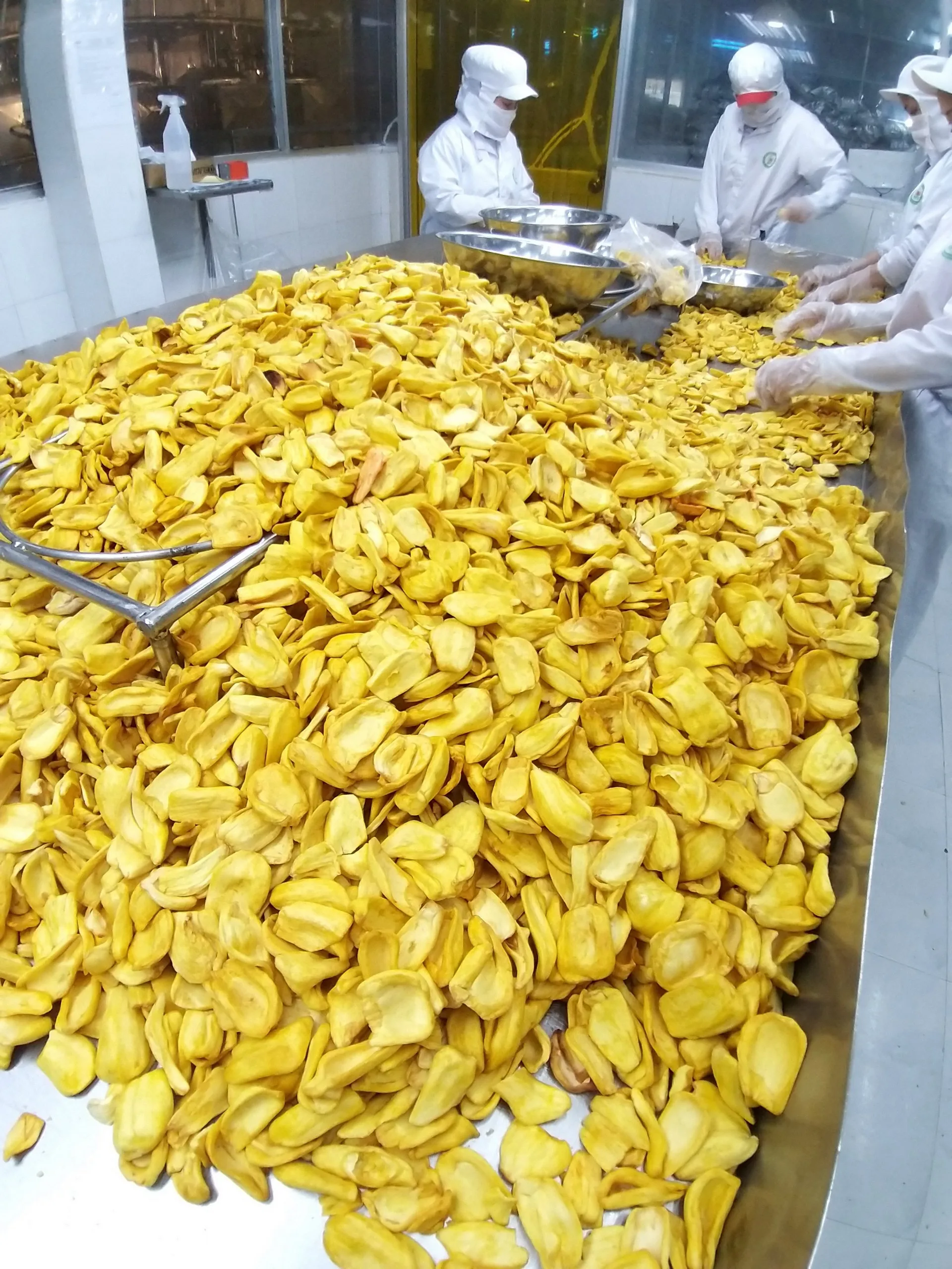 FACTORY STORE DRIED FRUIT CRISPY JACKFRUIT DEHYDRATED JACKFRUIT FRUIT