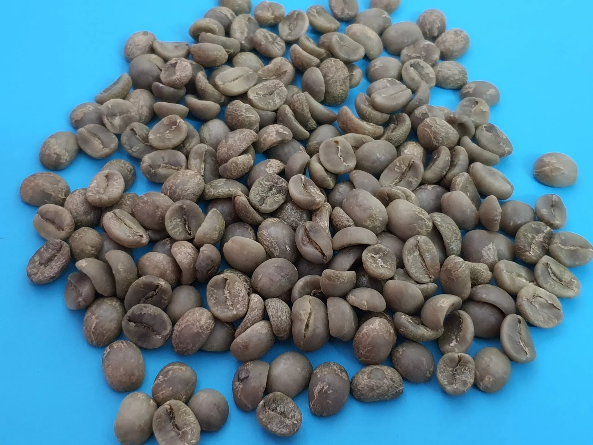 Wholesale Vietnamese High Quality Green Coffee Beans Manufacturers