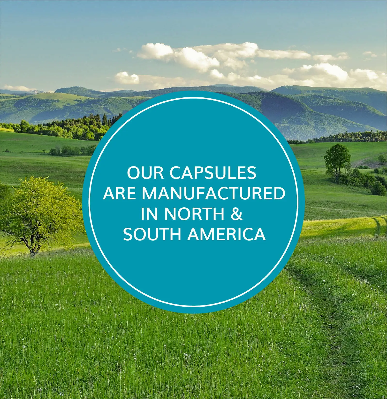 Scrap Gelatin Capsules Animal Glue Adhesive For Industrial Use,Paper