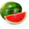 Buy Fresh Sweet Seedless Watermelon, Seeded Watermelon, Galia Melons and Cantaloup/Fresh Melon Yellow