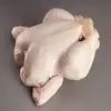 Ukraine Halal Frozen Whole Chicken, Chicken Parts at good price