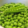 High Quality Ukraine Garbanzo Chick Pea / Chickpea Bean Kabuli for Sale
