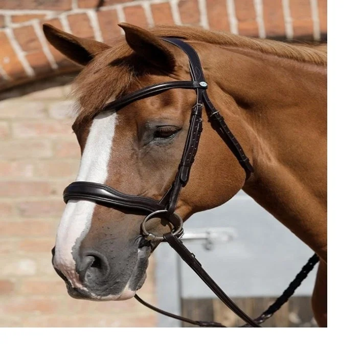 Windsor Equestrian Products Cuir Licol