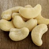 Good Price cashew nuts / Walnuts In Shell/Walnuts Kernels