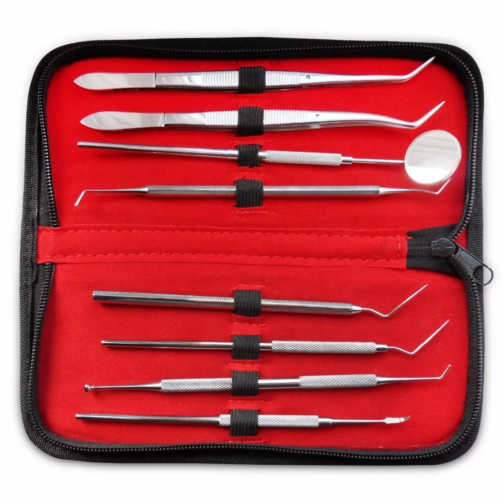 Complete Dental Hygiene Kit Professional Dental Oral Hygiene Kit 8 Tools Deep Cleaning Scaler