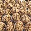 Good Dried Walnuts in Shell/Walnuts Kernels