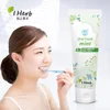 OBM vegan mint korea toothpaste for adult and kids