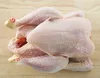 Frozen Quality Frozen Ukraine Halal chicken Meat / Fresh / Frozen / Processed Chicken Feet / Paws / Claws Cheap Price