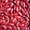 Premium Quality Extra Royal and Royal Red Kidney Beans High First Second