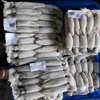 Vietnam Fresh and Frozen Squid with High Quality