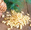 siberian pine nut and pine nut kernels from China