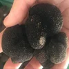 /product-detail/fresh-truffles-in-bulk-62004742943.html