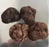 /product-detail/fresh-wild-black-italian-truffles-62005047958.html