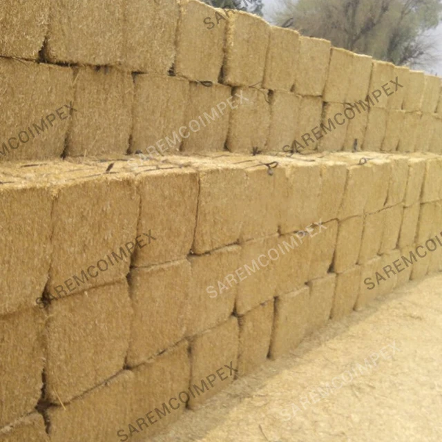 Kaufen Sie mit niedrigem Preis german Stück Sets Großhandel german