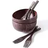 Polished coconut shell bowls/ fruit salad bowl/wholesale retail sample coconut shell lacquer painted bowls