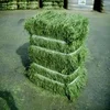 Feed Grade Grade and Cattle Use corn gluten feed