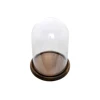 Decorative Clear Glass Cloche Bell Jar Display Case with Rustic Wood Base,Tabletop Centerpiece Dome for home, wedding decoration