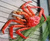 High Quality Russian Frozen King Crabs