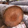 Hard Coconut Wood Round Logs