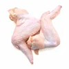 Frozen Chicken 3 joint chicken wings