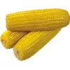 Yellow Maize, Dried Yellow Corn, Popcorn, White Corn Maize for Human & Animals Consumption for sale