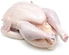 /product-detail/high-quality-frozen-chicken-for-sale-62004440699.html