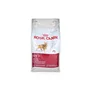 /product-detail/standard-quality-royal-canin-fit-32-dry-cats-and-dog-foods-for-sale-62004042172.html