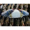 Fresh / Frozen Export Quality Blue Swimming Crab