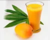 Delicious Fresh Mango Pulp from Exporters