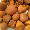 Cow & Ox Gallstones 80/20 Cow/Ox/Cattle Gallstones for Sale OX GALLSTONES FOR SALE IN
