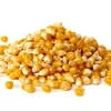 Russian High Quality bulk dried yellow corn