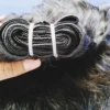 Wholesale Unprocessed Indian Human Hair Modernn Concepts