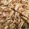 We supply dried shrimp shells and shrimp heads at competitive prices and good quality.