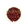 China hot sale red kidney beans price per ton