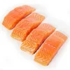 Hotsale Good Price Frozen Chum Salmon Fish Fillet
